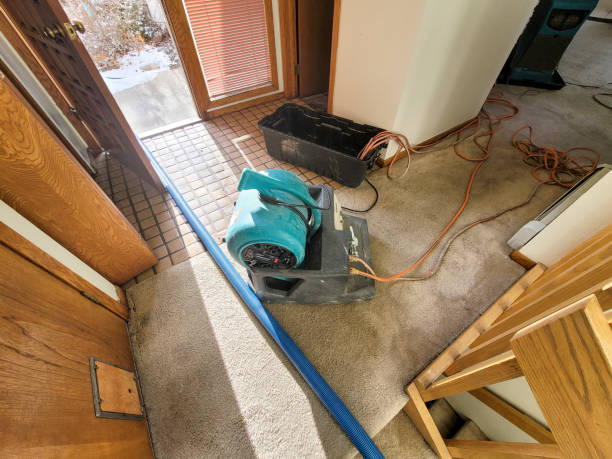 Sewage cleanup and water damage restoration in NJ