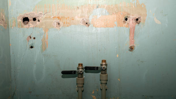 Best Residential water damage restoration  in Country Lake Estates, NJ