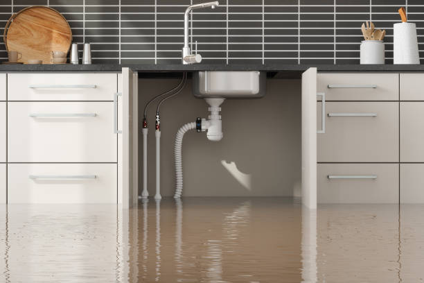 Best Water damage restoration near me  in Country Lake Estates, NJ
