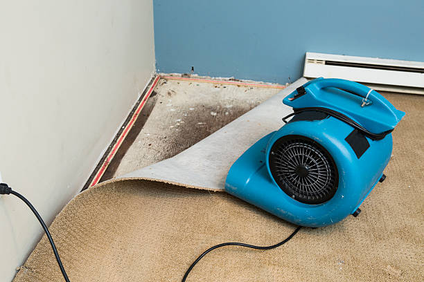 Best Flood restoration services  in Country Lake Estates, NJ